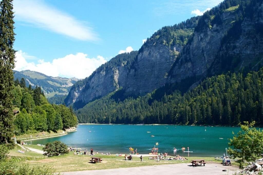 Saint-Jean-dʼAulps Le Relai S31 - Grand Et Lumineux Studio Avec Coin Montagne 4-6 Pers, Tout Equipe, Avec Wifi, A 30M Des Pistes Avec Un Grand Balcon, Draps Non Compris מראה חיצוני תמונה