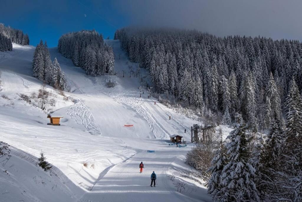 Saint-Jean-dʼAulps Le Relai S31 - Grand Et Lumineux Studio Avec Coin Montagne 4-6 Pers, Tout Equipe, Avec Wifi, A 30M Des Pistes Avec Un Grand Balcon, Draps Non Compris מראה חיצוני תמונה