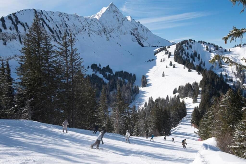 Saint-Jean-dʼAulps Le Relai S31 - Grand Et Lumineux Studio Avec Coin Montagne 4-6 Pers, Tout Equipe, Avec Wifi, A 30M Des Pistes Avec Un Grand Balcon, Draps Non Compris מראה חיצוני תמונה